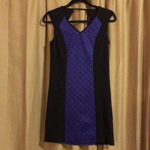 eric + lani Dress❤️